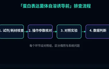教程配图2：蛋白表达菌体自溶诱导前 排查流程示意