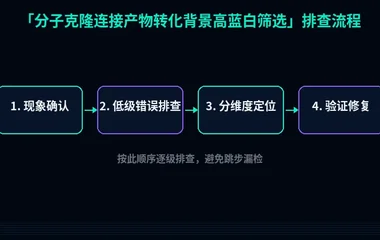 分子克隆连接产物转化背景高蓝白筛选