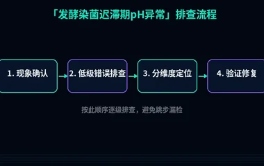 发酵染菌迟滞期pH异常