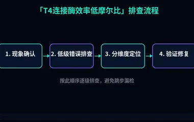 T4连接酶效率低摩尔比
