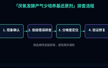 厌氧发酵产气少培养基还原剂