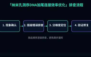 纳米孔测序DNA加尾连接效率优化