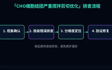 CHO细胞结团严重搅拌剪切优化
