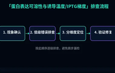 蛋白表达可溶性与诱导温度/IPTG梯度