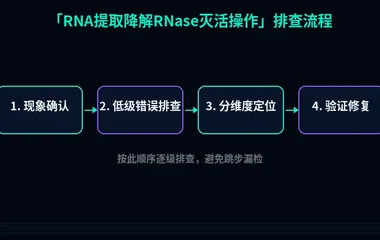 RNA提取降解RNase灭活操作