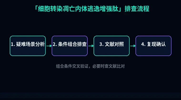 教程配图3:细胞转染凋亡内体逃逸增强肽 排查流程示意