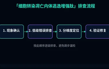 细胞转染凋亡内体逃逸增强肽