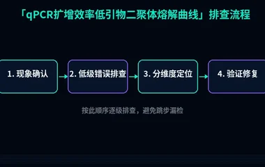 qPCR扩增效率低引物二聚体熔解曲线