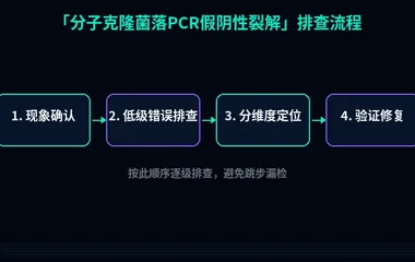 分子克隆菌落PCR假阴性裂解