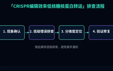 CRISPR编辑效率低核糖核蛋白转运