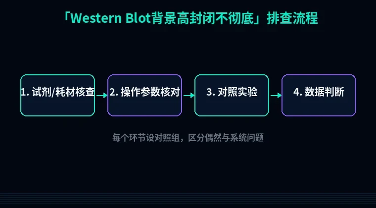 教程配图2：Western Blot背景高封闭不彻底 排查流程示意