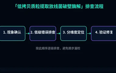 低拷贝质粒提取放线菌破壁酶解