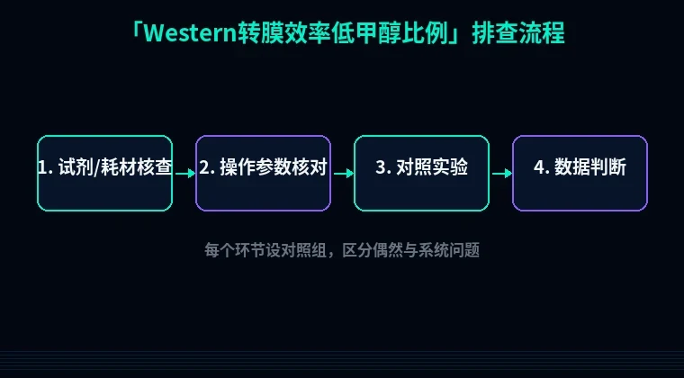 教程配图2:Western转膜效率低甲醇比例 排查流程示意