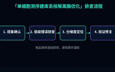 单细胞测序建库丢核解离酶优化