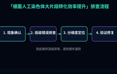 细菌人工染色体大片段转化效率提升