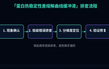 蛋白热稳定性差熔解曲线缓冲液
