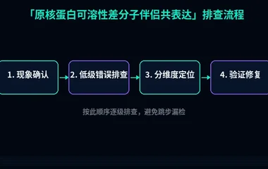 原核蛋白可溶性差分子伴侣共表达