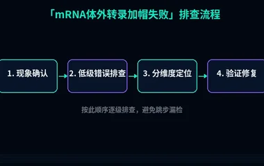 mRNA体外转录加帽失败