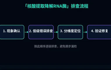 核酸提取降解RNA酶
