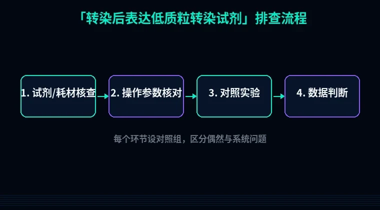教程配图2:转染后表达低质粒转染试剂 排查流程示意