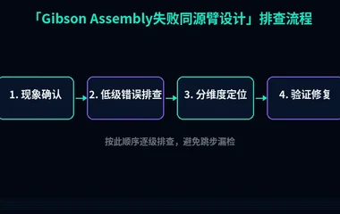 Gibson Assembly失败同源臂设计