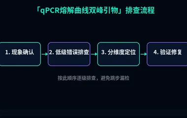 qPCR熔解曲线双峰引物