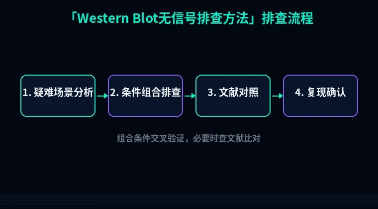 教程配图3:Western Blot无信号排查方法 排查流程示意