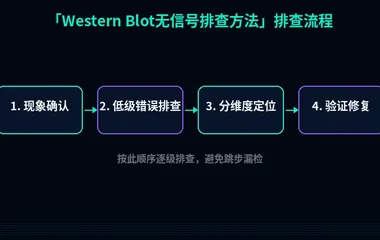 Western Blot无信号排查方法