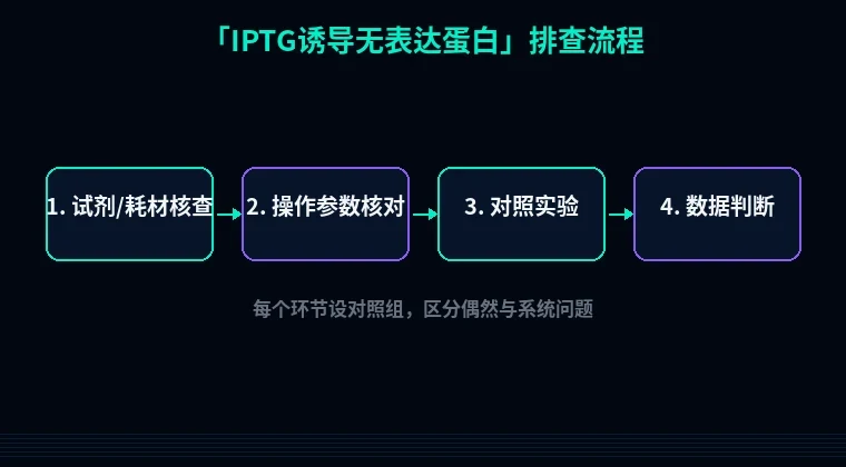 教程配图2:IPTG诱导无表达蛋白 排查流程示意