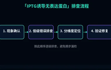 IPTG诱导无表达蛋白