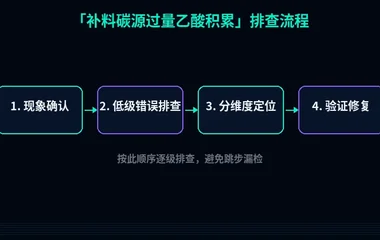 补料碳源过量乙酸积累