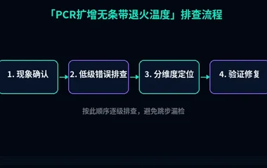 PCR扩增无条带退火温度